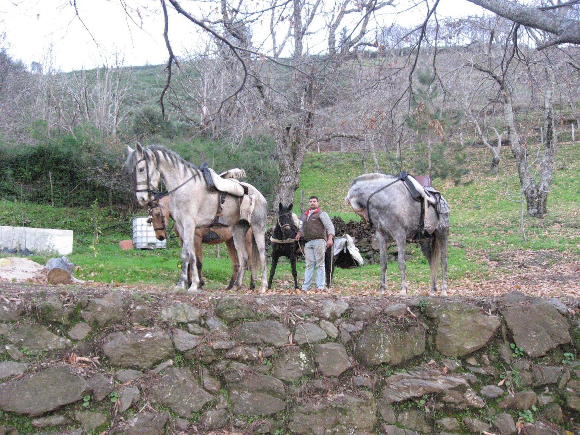 La Posada Del Recovero 헤날과실 외부 사진