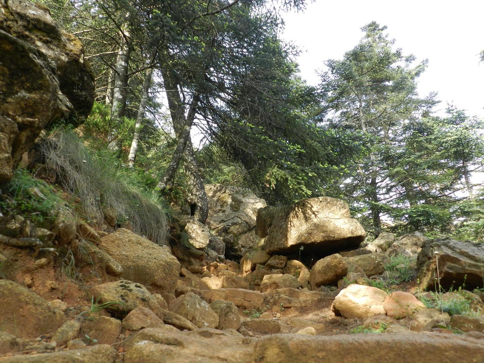 La Posada Del Recovero 헤날과실 외부 사진