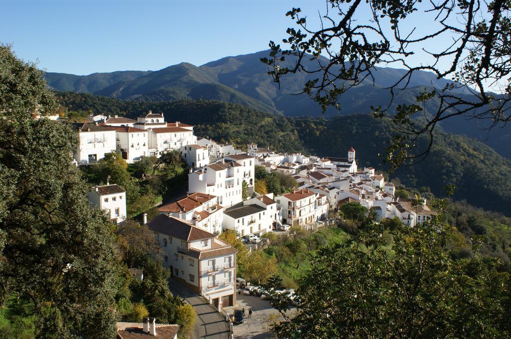 La Posada Del Recovero 헤날과실 외부 사진