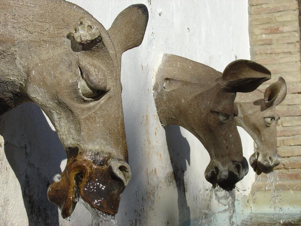 La Posada Del Recovero 헤날과실 외부 사진