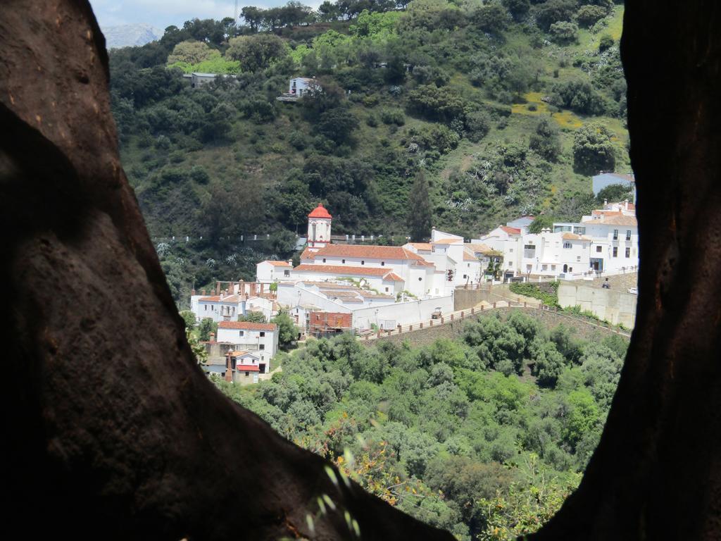 La Posada Del Recovero 헤날과실 외부 사진