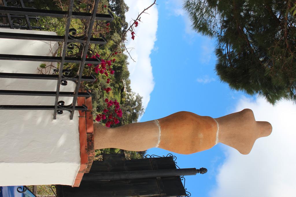 La Posada Del Recovero 헤날과실 외부 사진